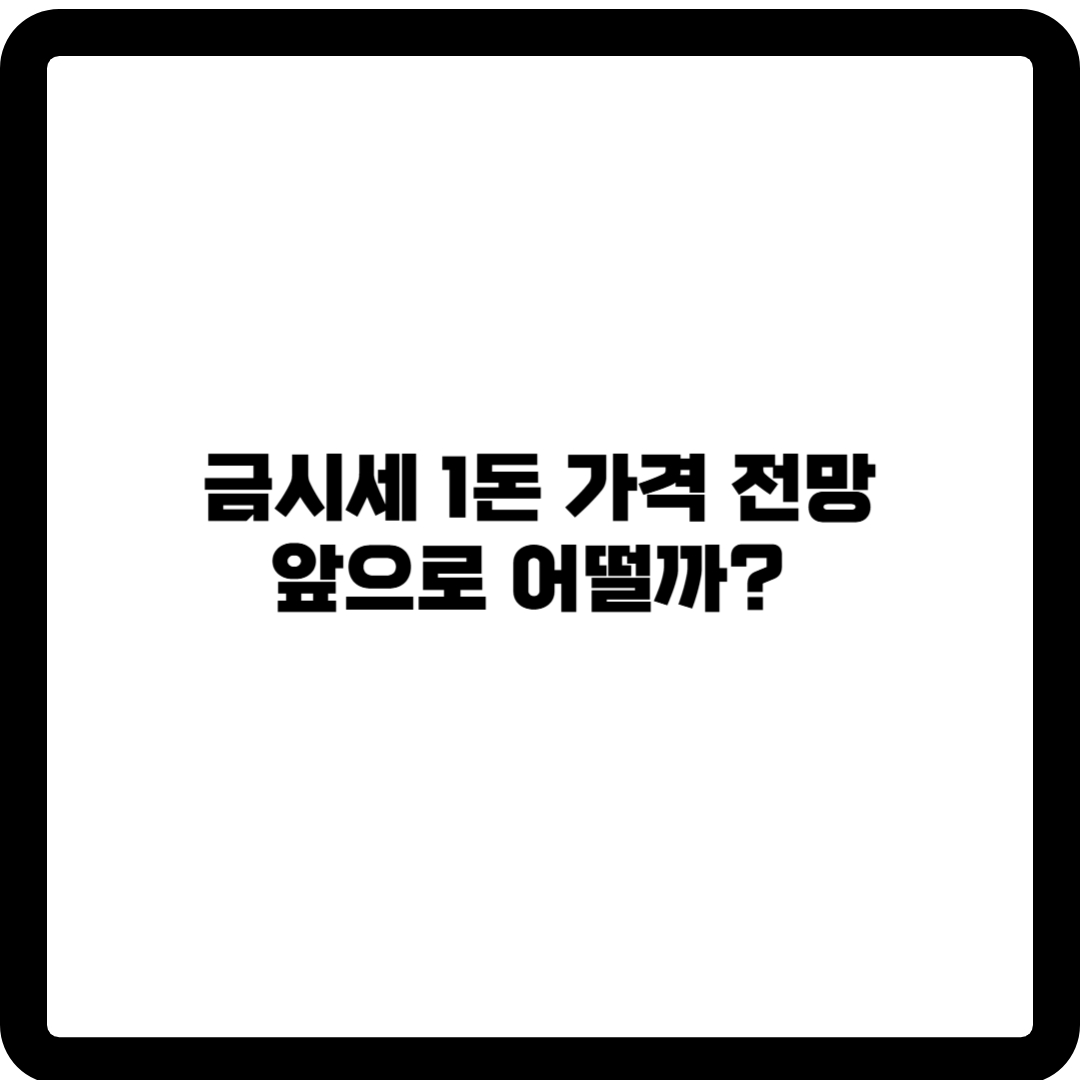 금시세