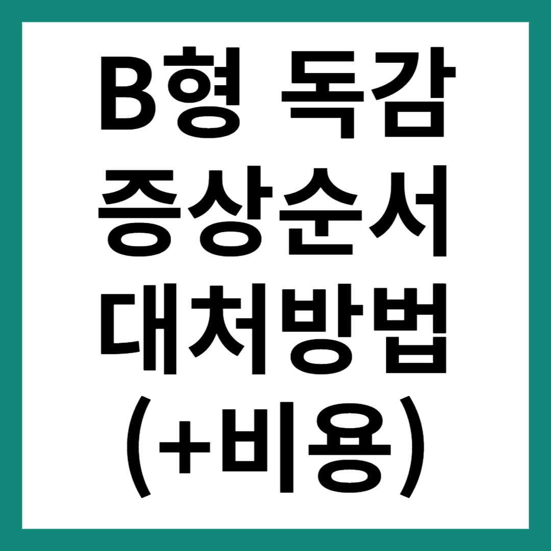 B형 독감 증상 순서 검사비용