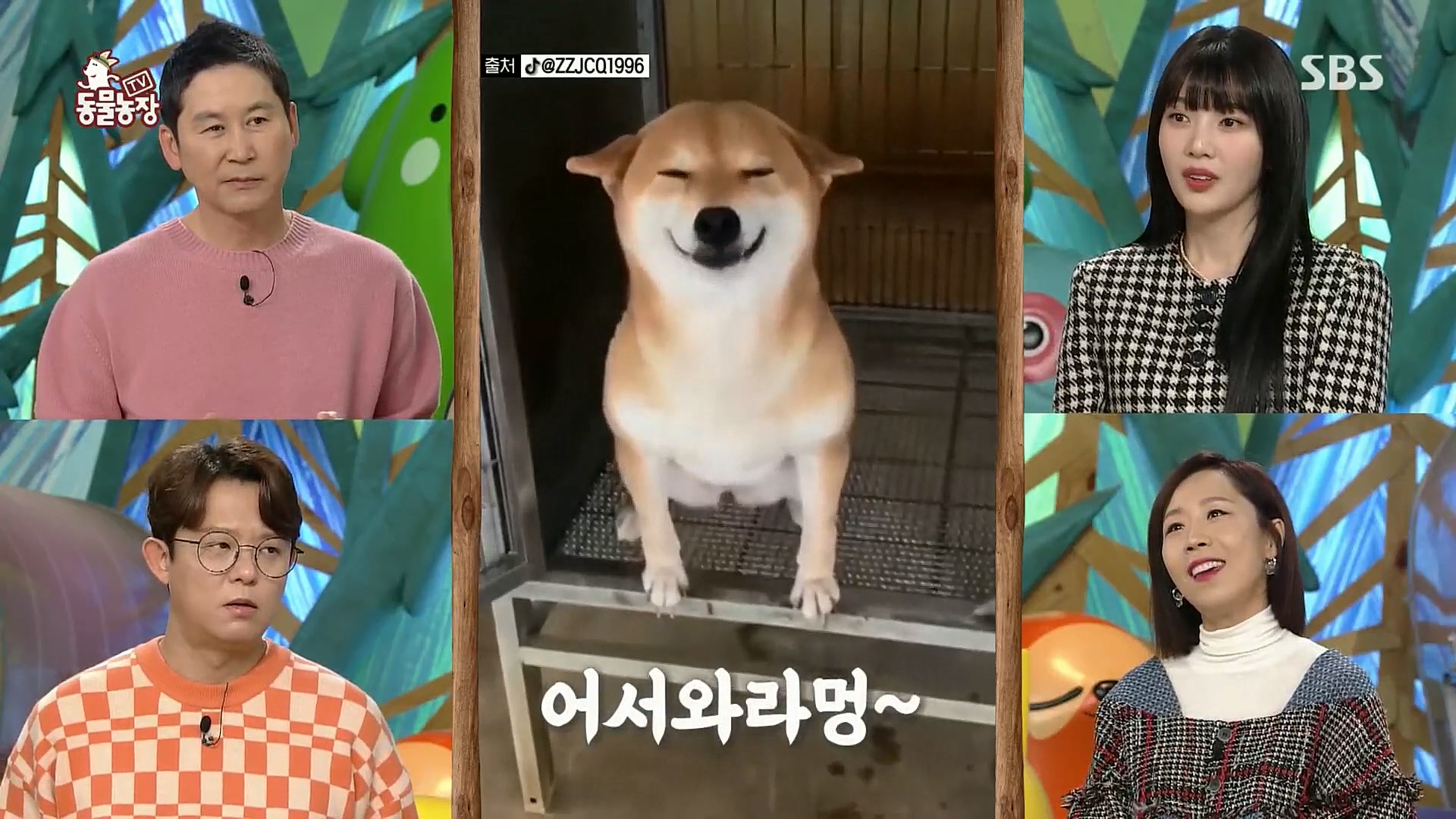 TV 동물농장.E1098.221204p.H264-F1RST.mp4_20221204_175355.955.jpg