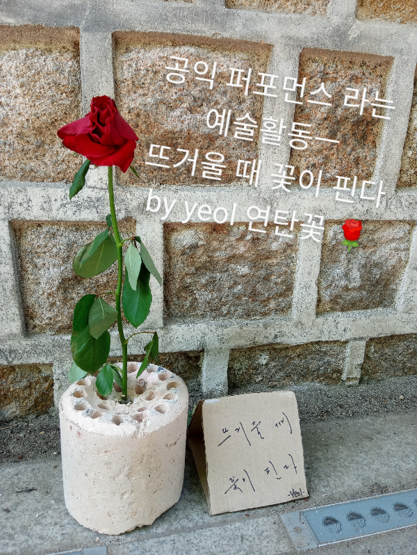 광화문-뜨거울-때-꽃이-핀다-by-yeol