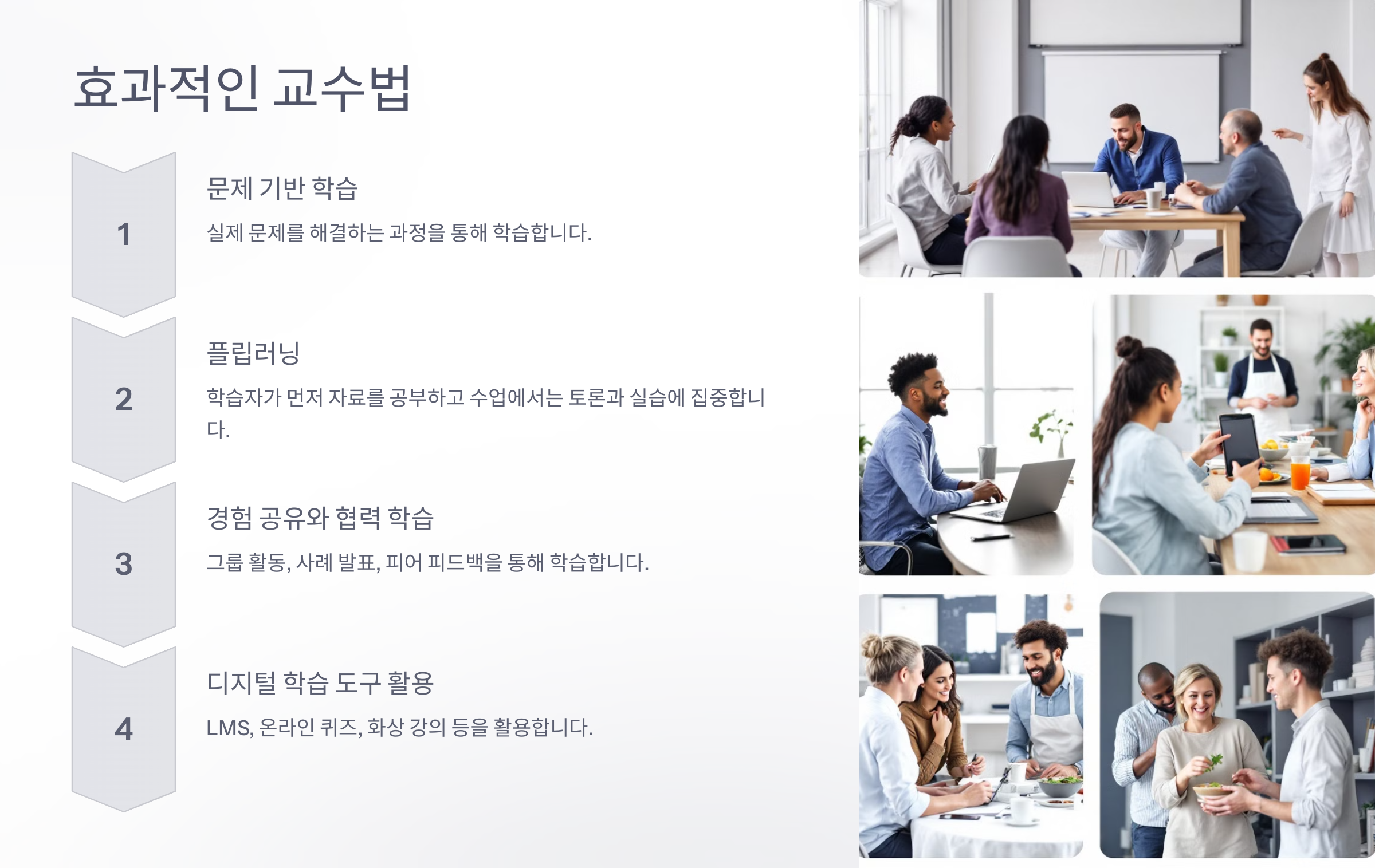 앤드라고지란?