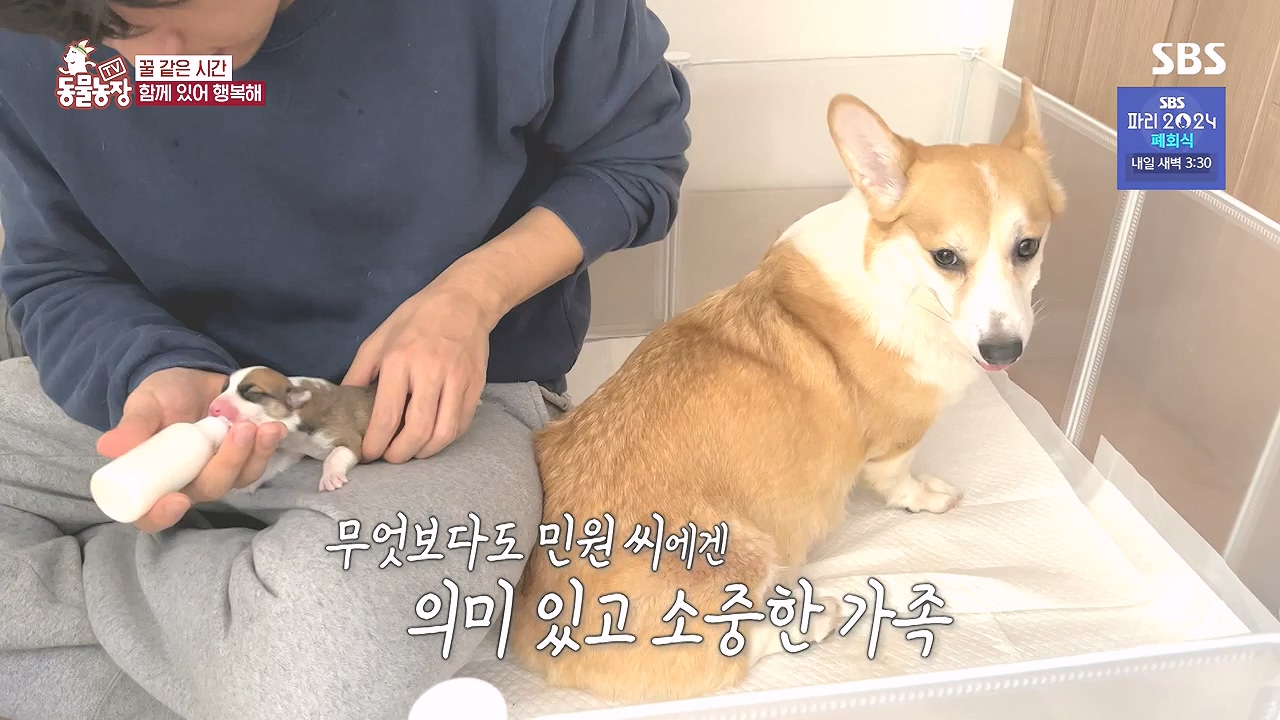 TV 동물농장.E1184.240812p-NEXT.mp4_20240811_172505.663.jpg