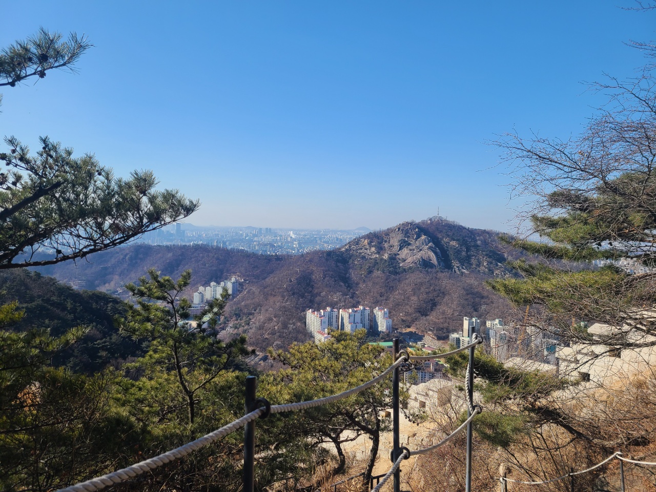 건너에 산도 보임