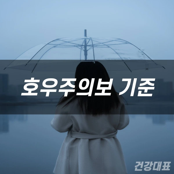 호우주의보 기준