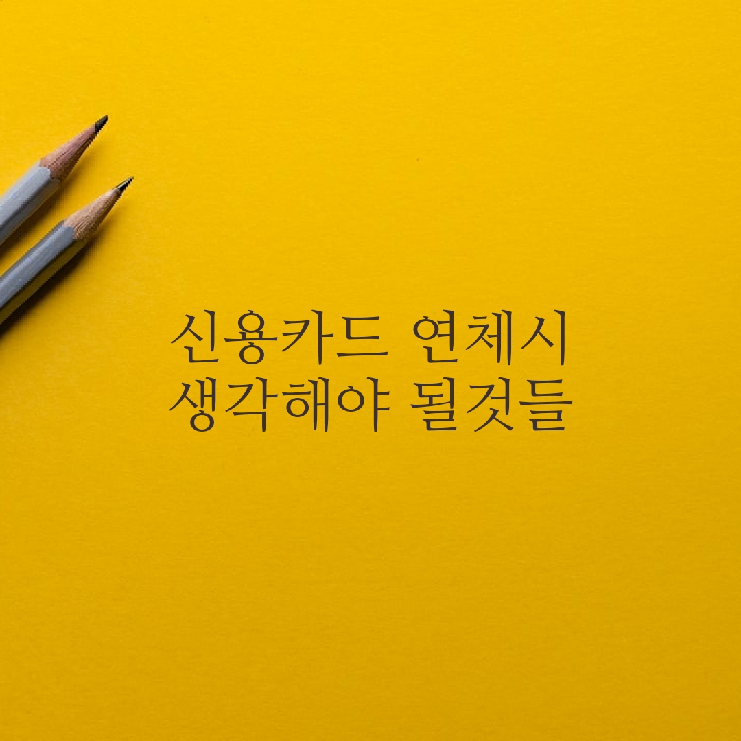  신용카드 연체 생각해야 될것들