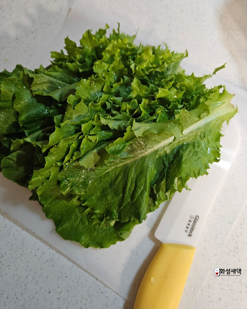 상추-큐브