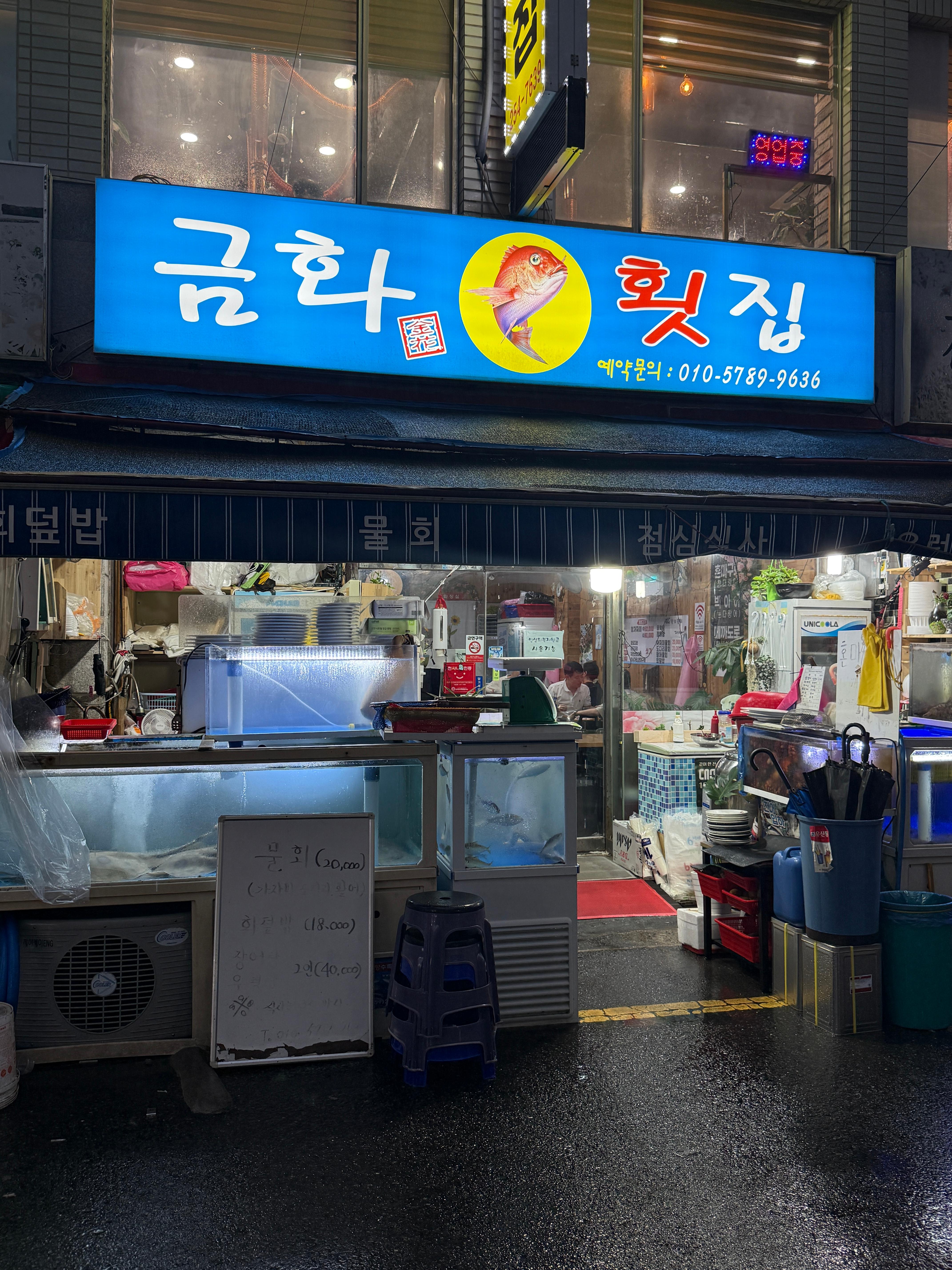 금화 사진 3
