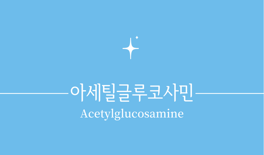 &#39;아세틸글루코사민&#39;