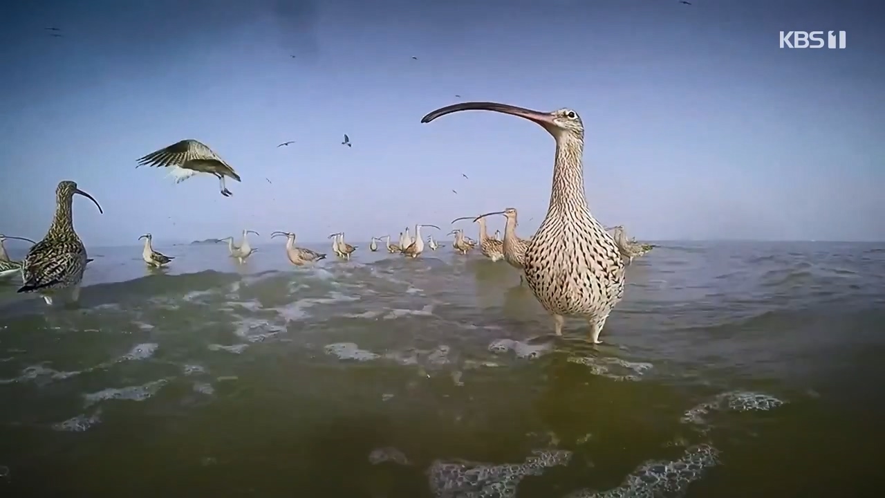 다큐 온.E206.230723p-NEXT.mp4_20230724_211928.204.jpg