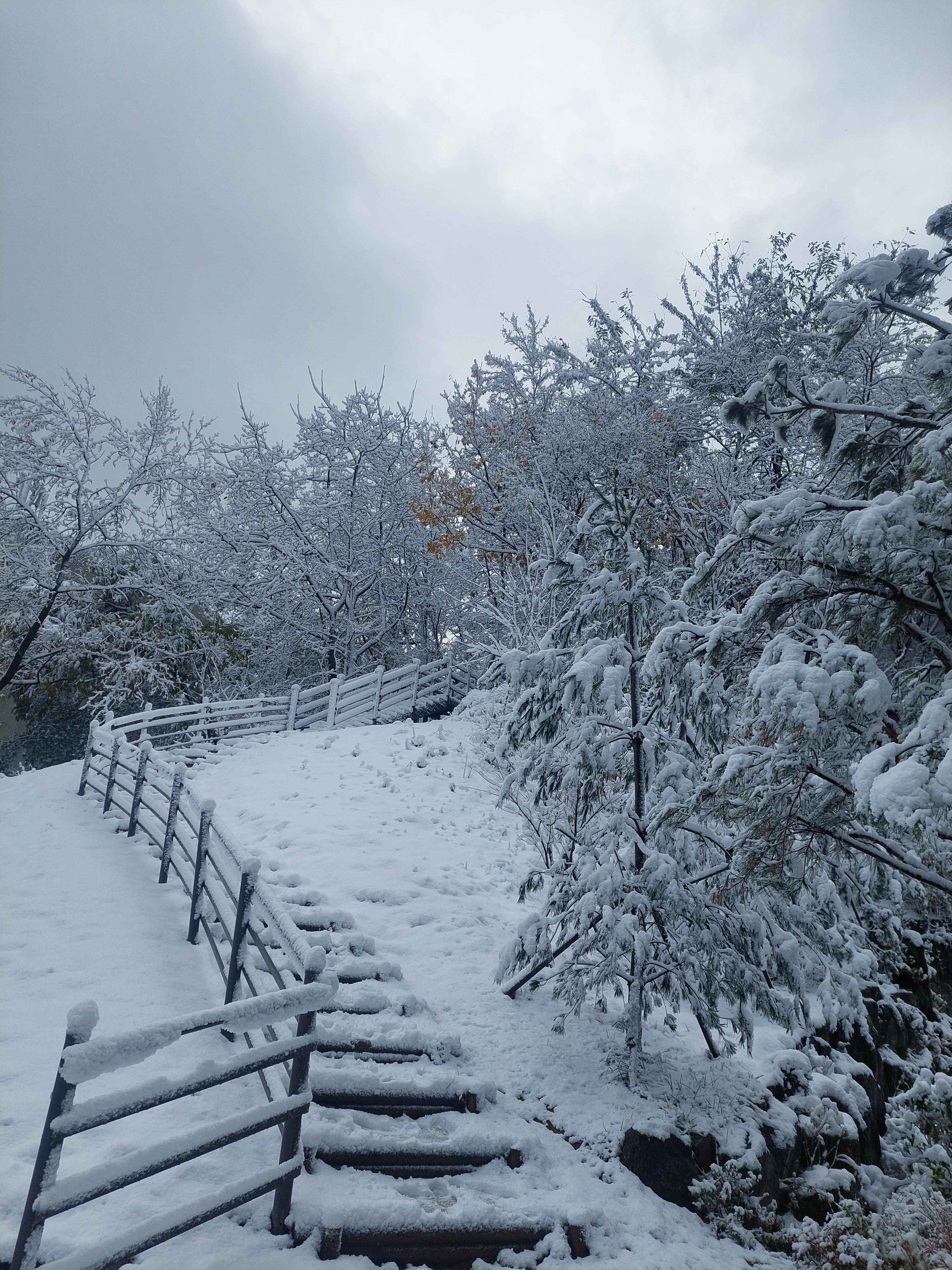 백련산안산