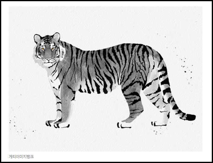  2022년 삼재띠