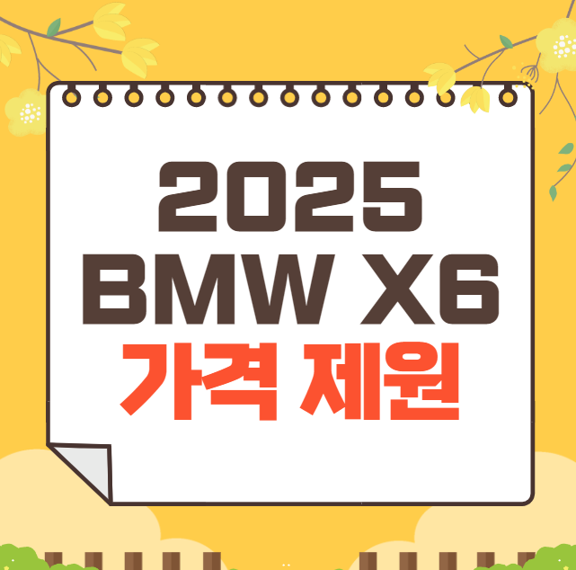 2025 BMW X6 가격표(신형)