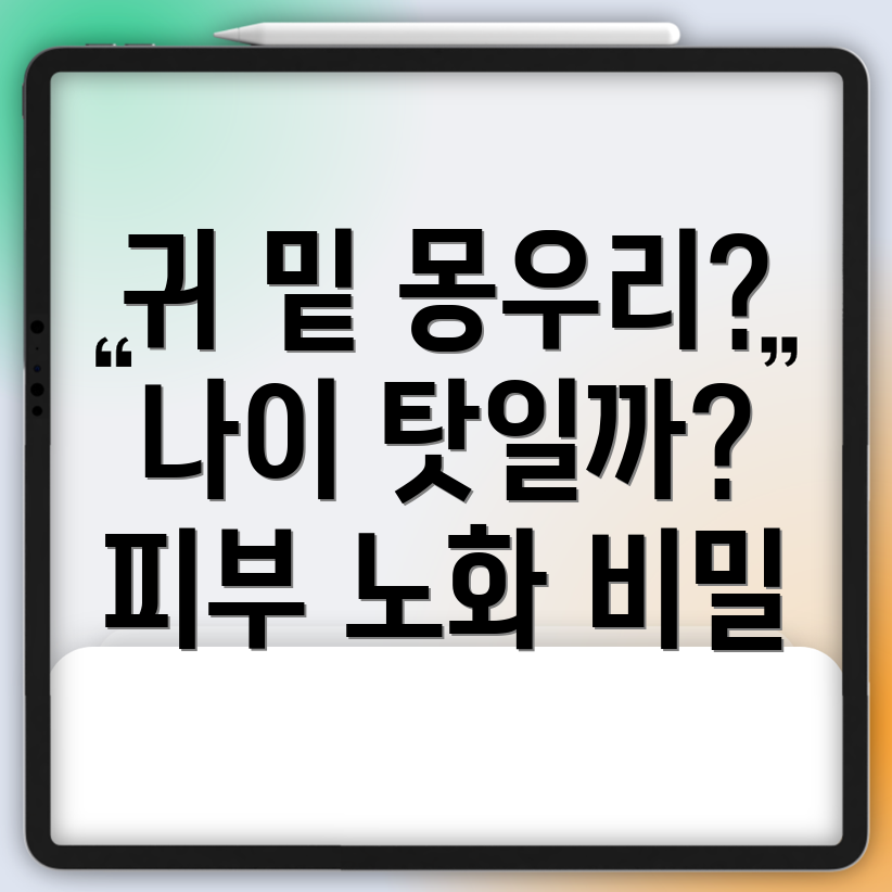 아밀로이드 피부 노화