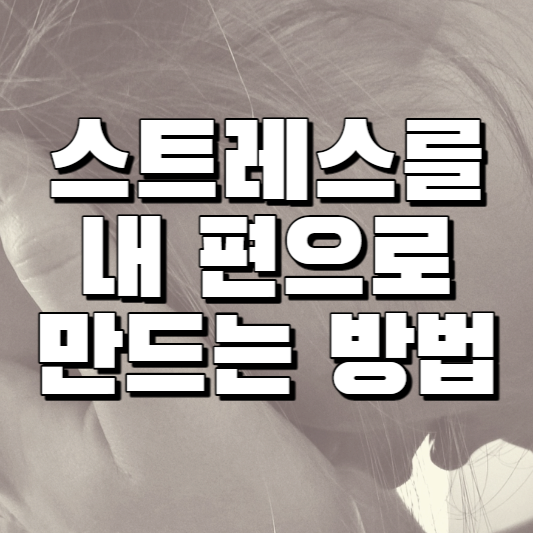 스트레스를 내편으로 만드는 방법