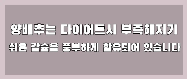  양배추는 다이어트시 부족해지기 쉬운 칼슘을 풍부하게 함유되어 있습니다