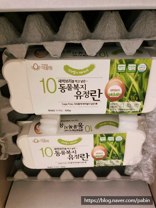 동물복지농장 내돈내산) 농장에서 바로