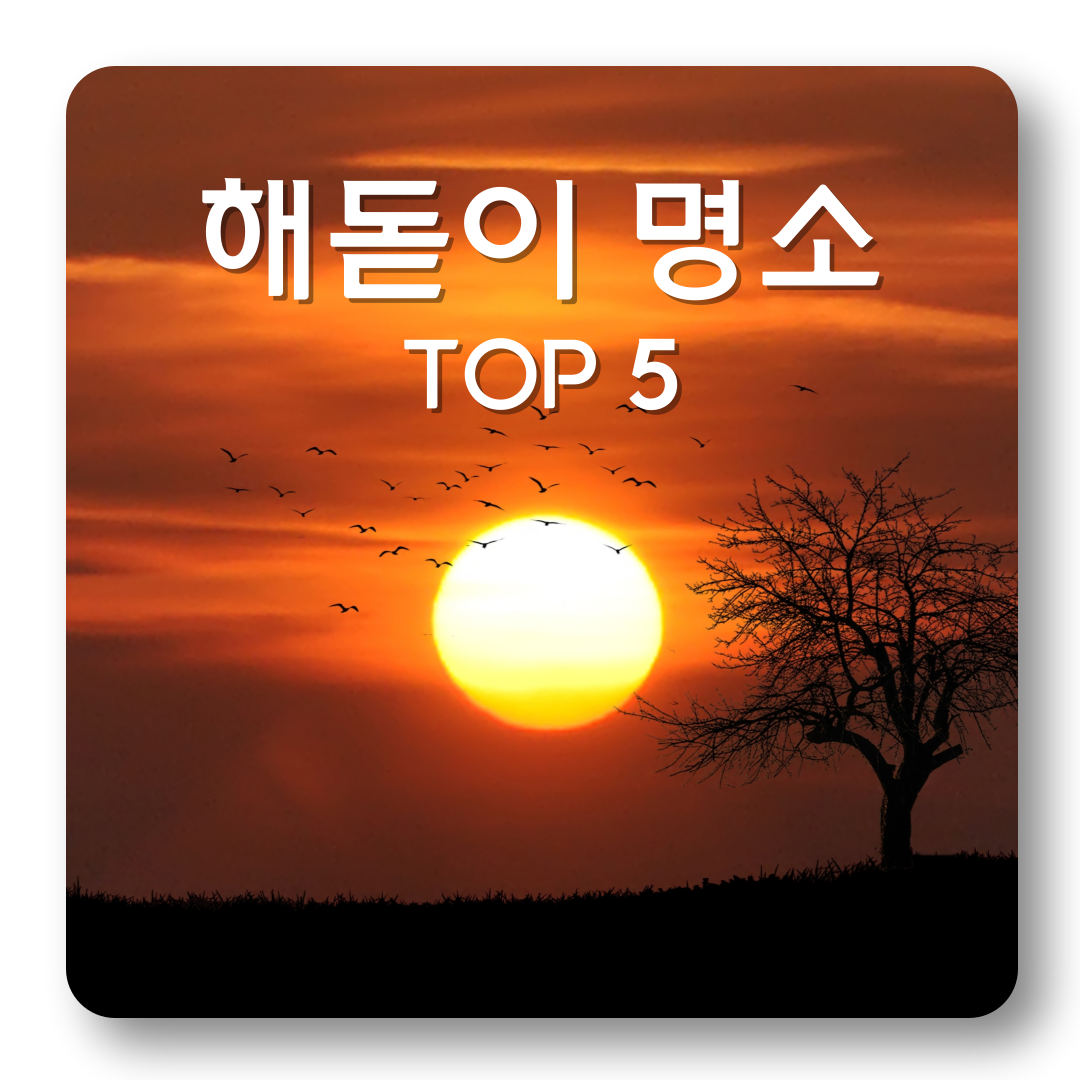 해돋이 명소 top5