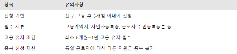 성공적인 신청을 위한 유의 사항 요약