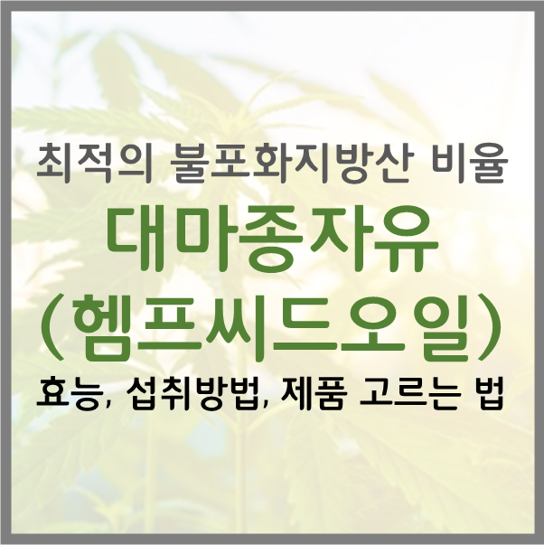  대마종자유 효능 섭취방법 부작용 헴프씨드오일