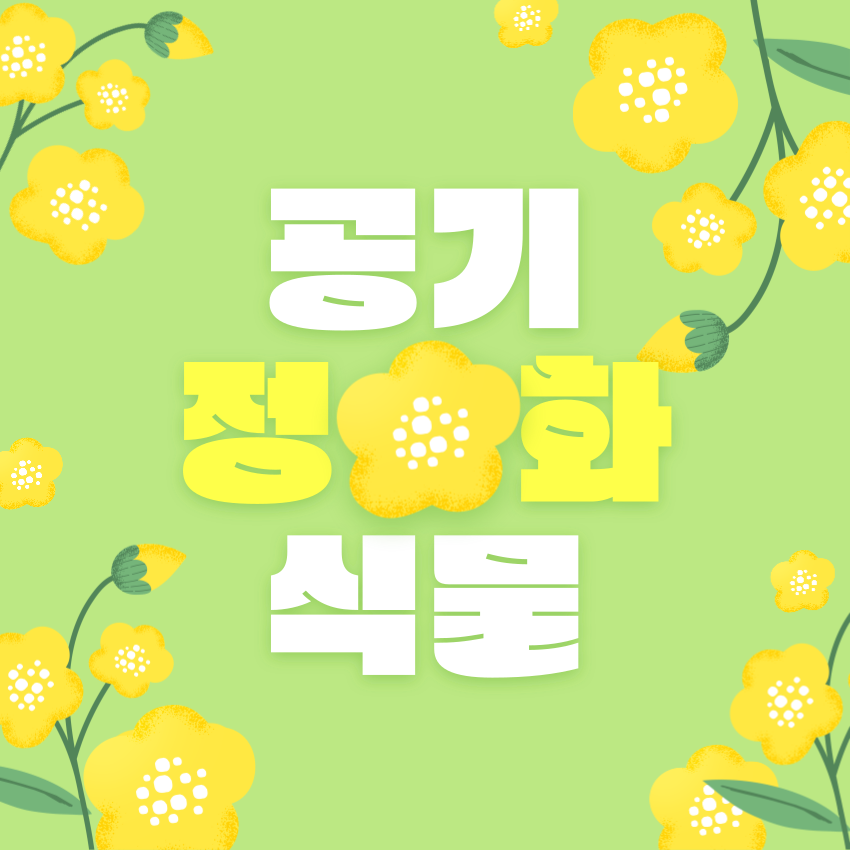  공기정화식물 어떤것이 있을까?