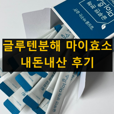 글루텐분해 마이효소