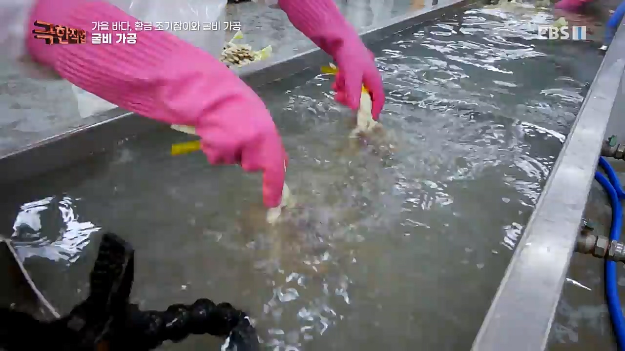 TV - 교육의 중심 EBS가을 바다 황금 조기잡이와 굴비 가공.mp4_20221122_195444.492.jpg