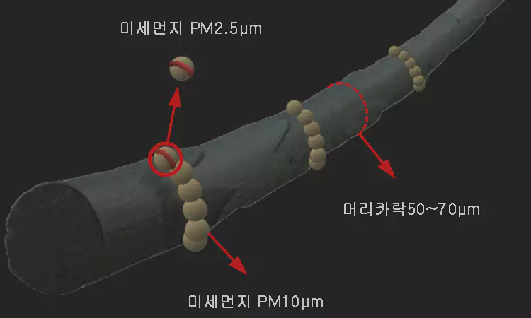 미세먼지-성분과-물리적-구조-우리나라-미세-먼지-분석-총정리-설명-이미지