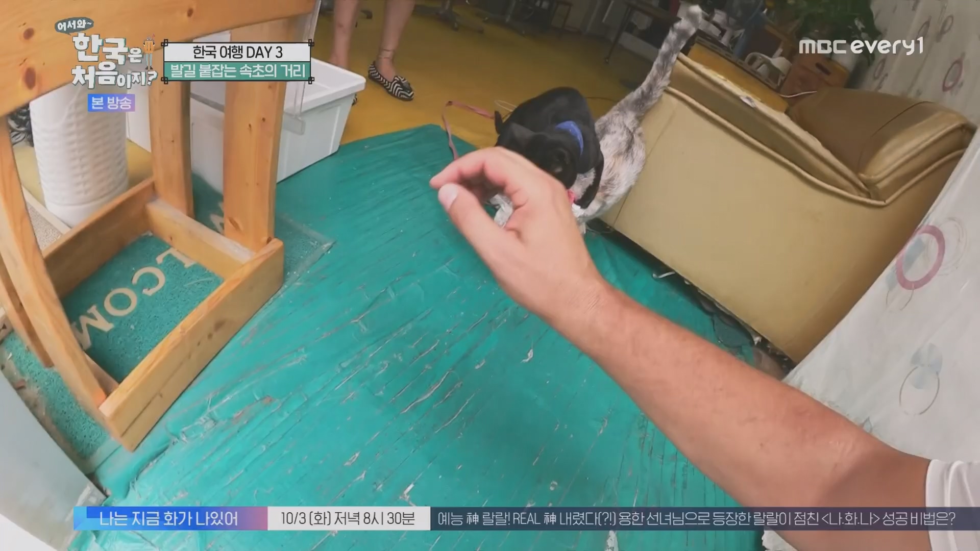 어서와~ 한국은 처음이지.E315.230928p.H264-F1RST.mp4_20230930_180723.353.jpg
