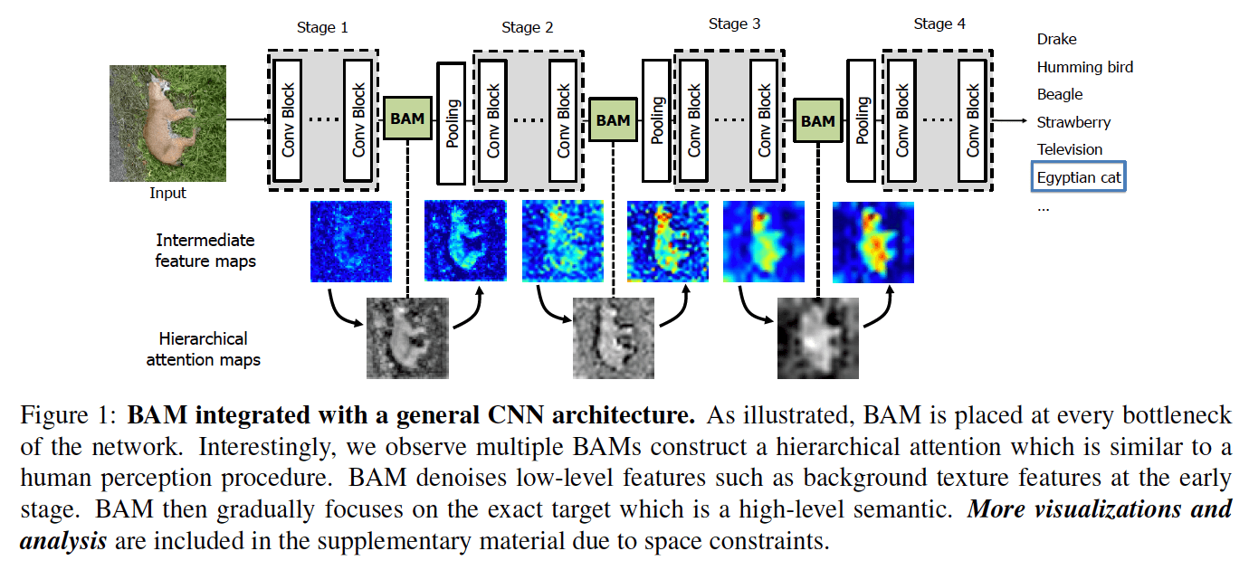 13.BAM의 Attention 효과