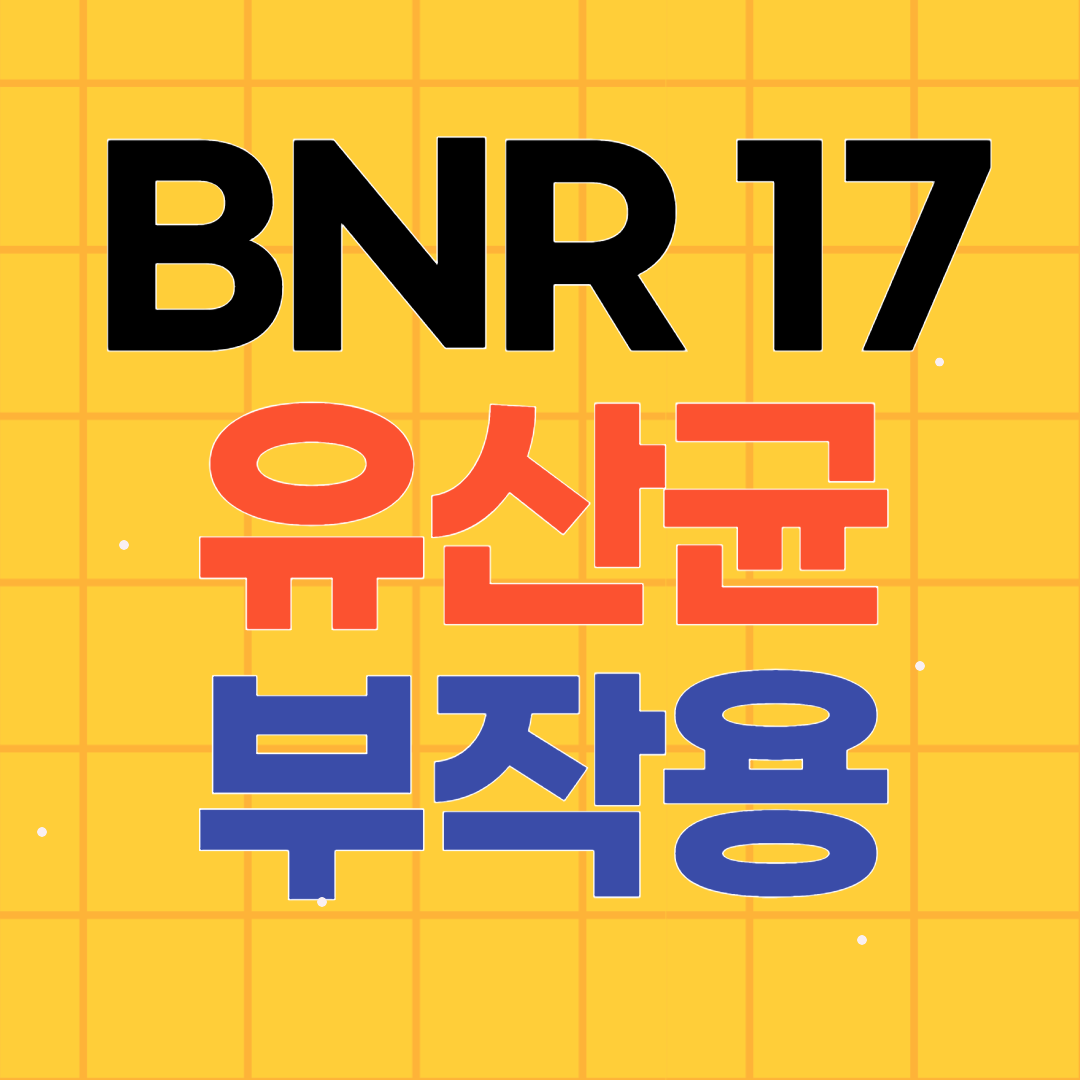BNR 17 유산균 부작용