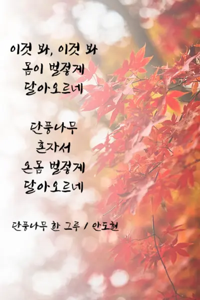 가을 시