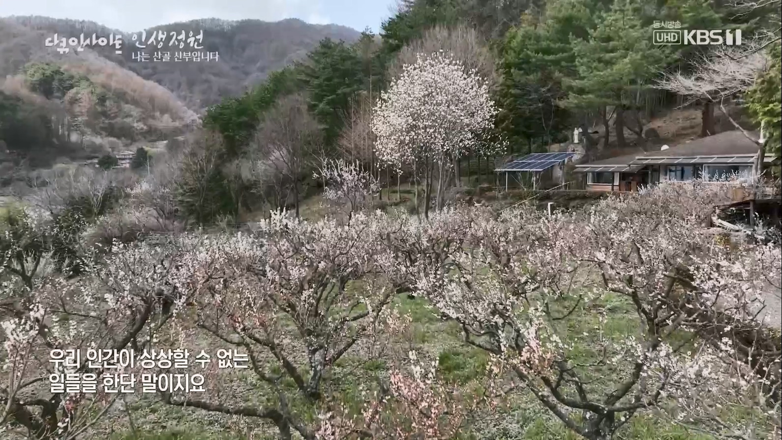 다큐 인사이트.E153.230608p.H264-F1RST.mp4_20230612_204143.639.jpg