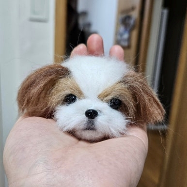 펠트 이미지