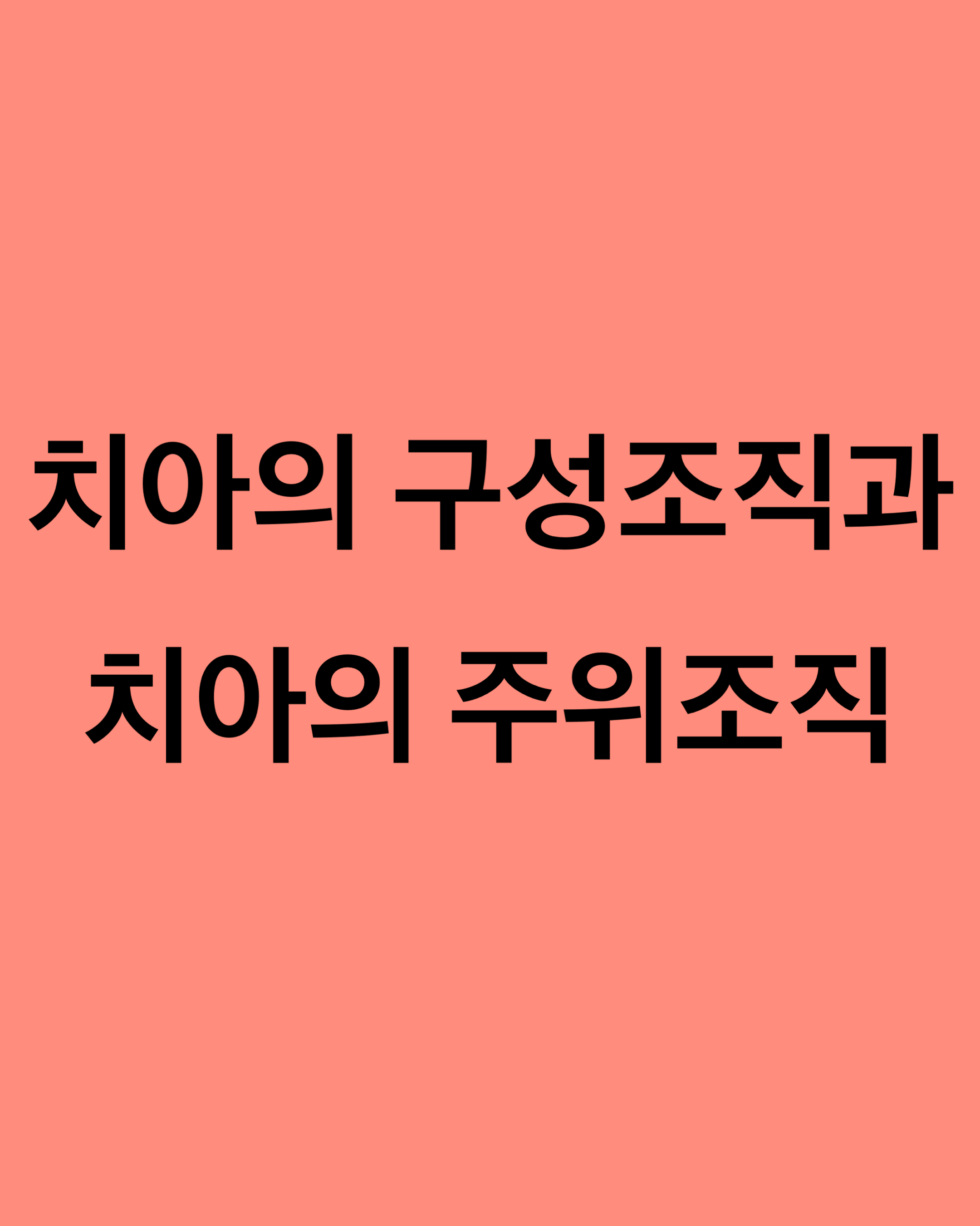 치아의-구성조직과-치아의-주위조직-썸네일