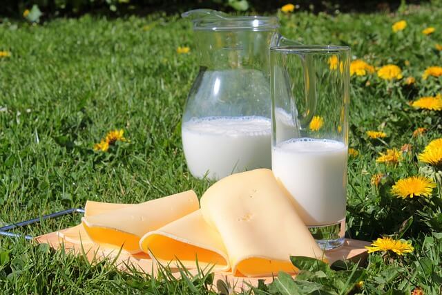 칼슘이 풍부한 우유·유제품
