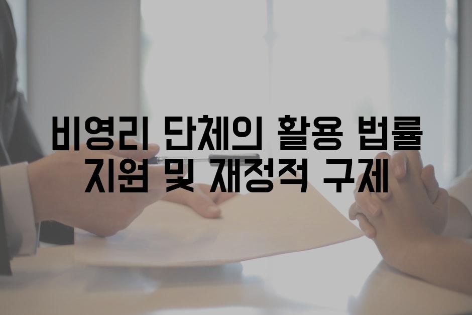 비영리 단체의 활용 법률 지원 및 재정적 구제