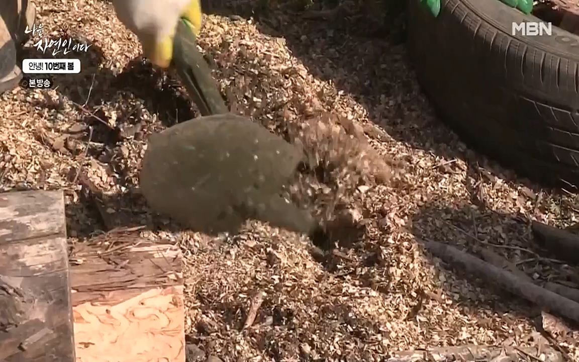 나는 자연인이다.E500.220505p-NEXT.mp4_20220505_180223.835.jpg