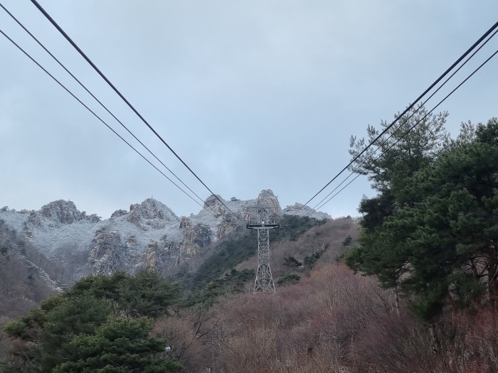 케이블카