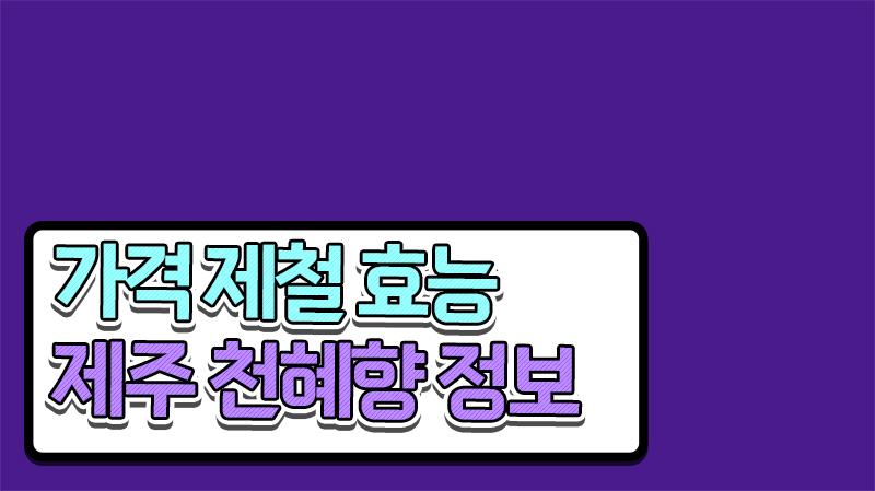  천혜향 5kg 가격 제철 레드향 차이 한 눈에 알아봐요