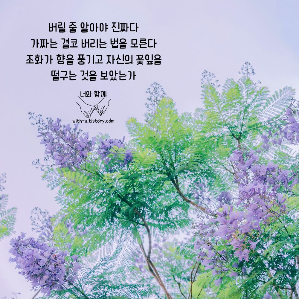  진짜 글귀 : 짧고 좋은 글귀 : 짧은 명언