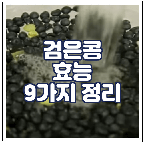  검정콩 효능 9가지 정리