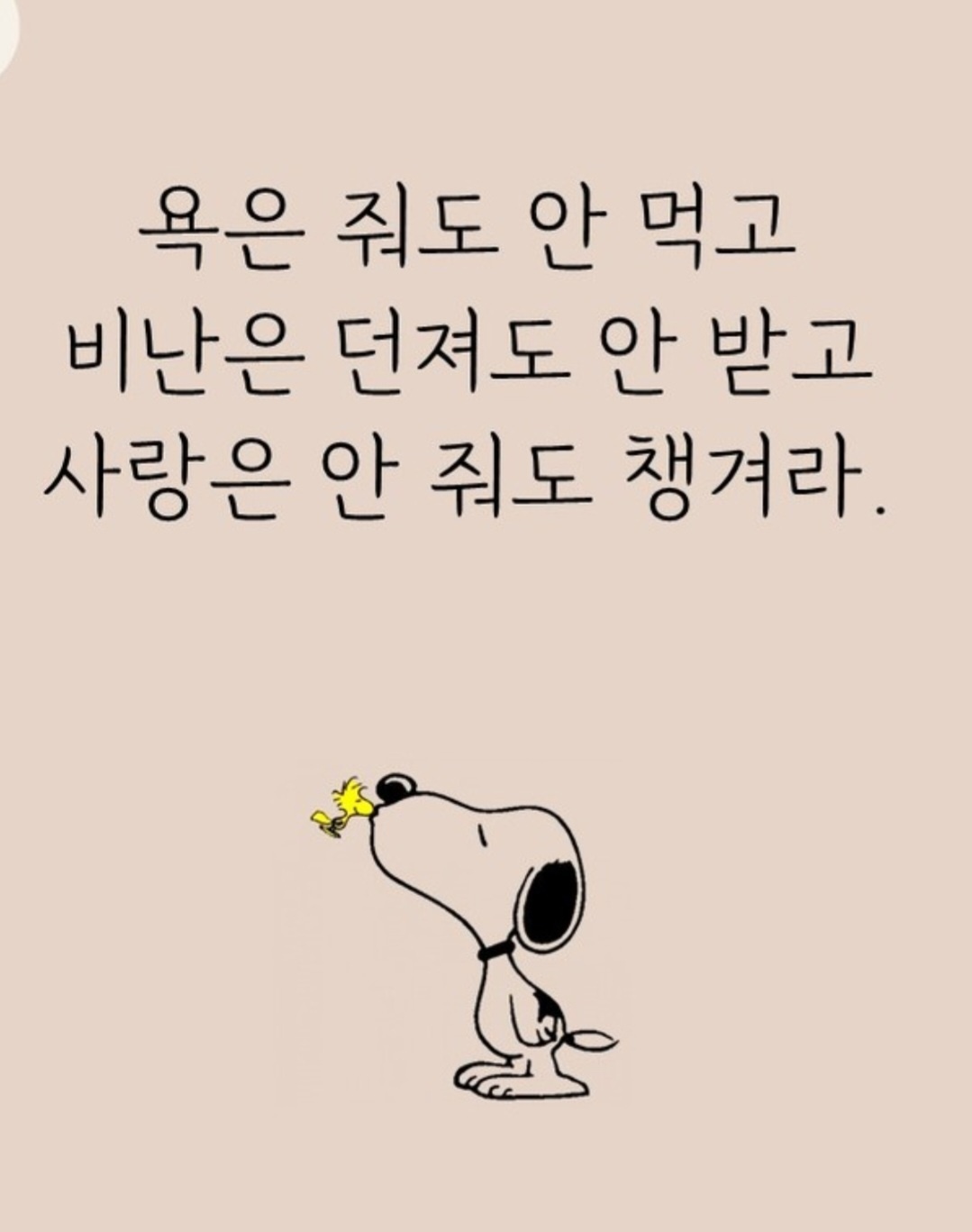  오늘의 좋은글 197번째 지금 내가 어떻게 사는가에 따라 미래가 달라진다.
