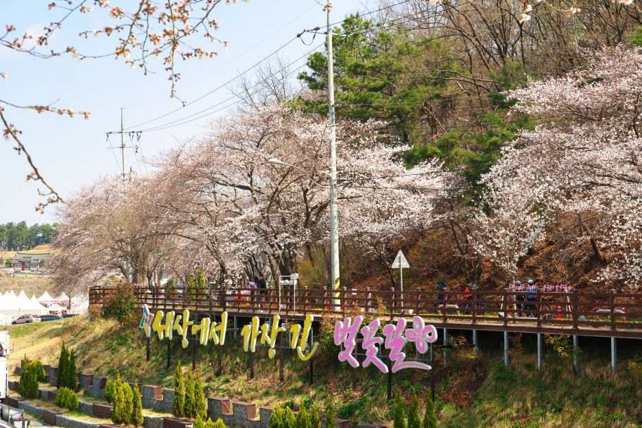 행정사 이미지