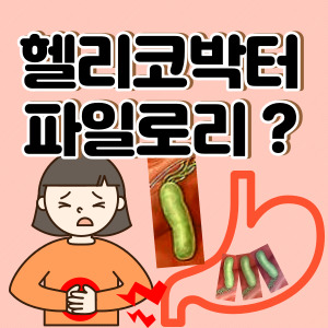 헬리코박터균 사진