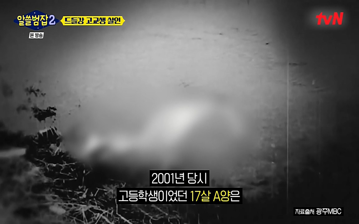 알쓸범잡 2.E15.220425p-NEXT.mp4_20220425_185311.924.jpg
