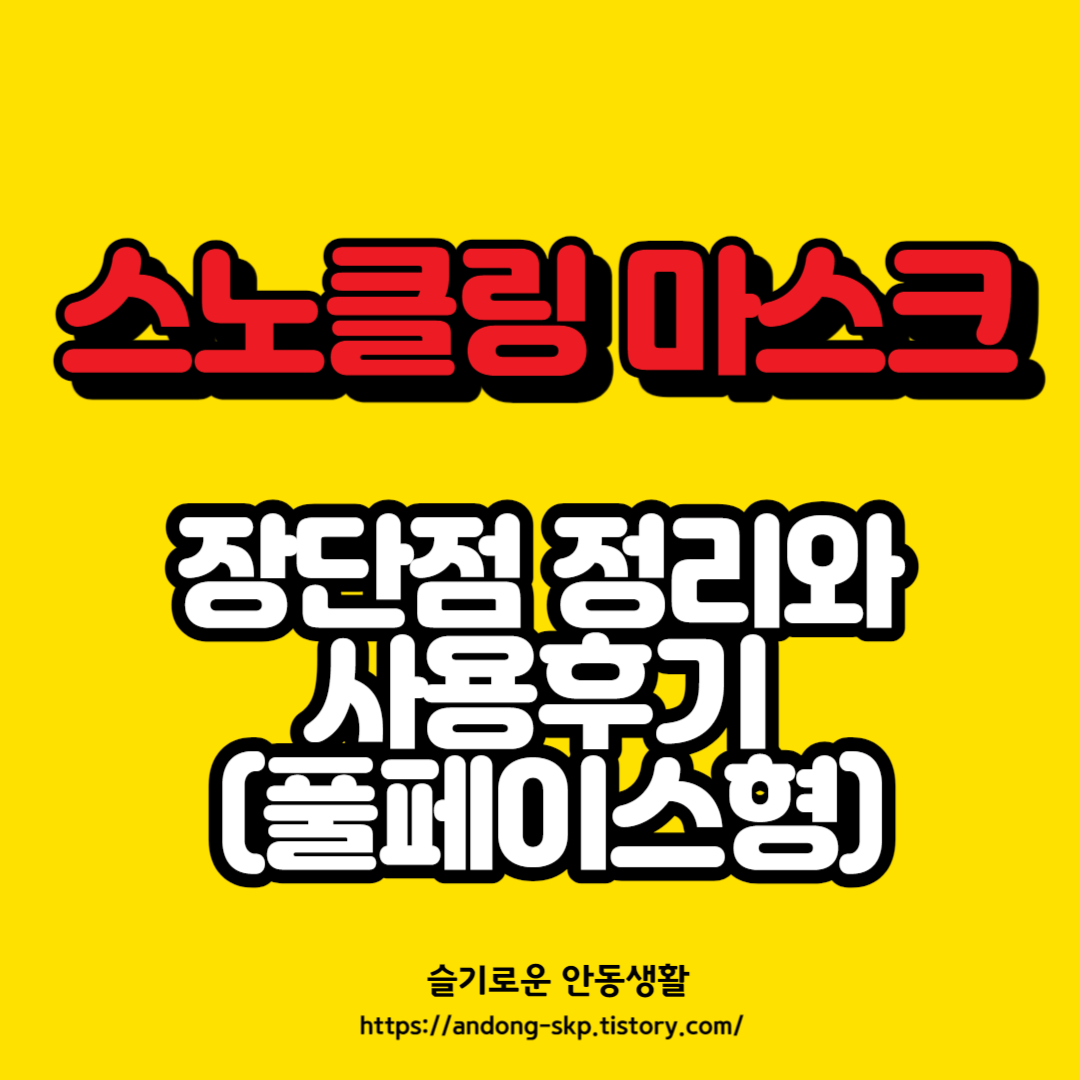  스노쿨링 마스크 장단점 및 후기