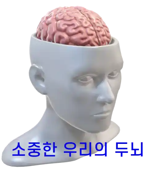 소중한 우리의 두뇌