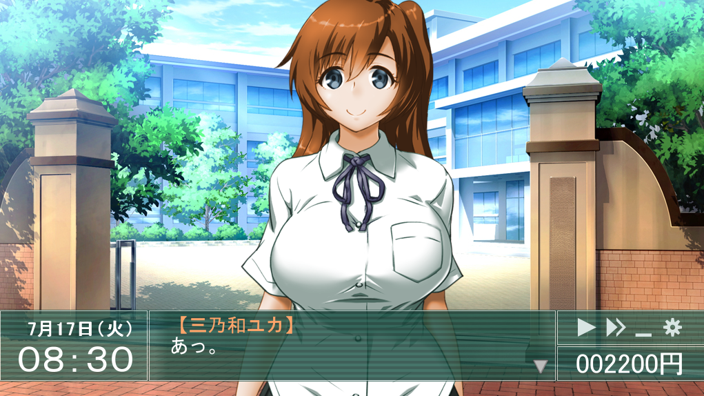  스쿨 메모리즈 2 Irreversible (スクールメモリーズ2 Irreversible)