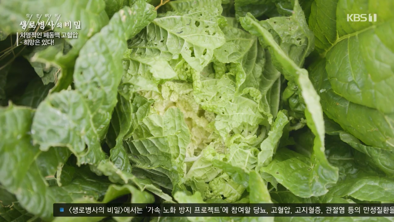 생로병사의 비밀.E900.240215p-NEXT.mp4_20240215_202858.813.jpg