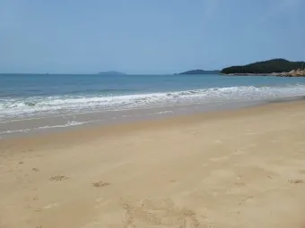 완도 청산도 배시간표 요금 배편 예약_17